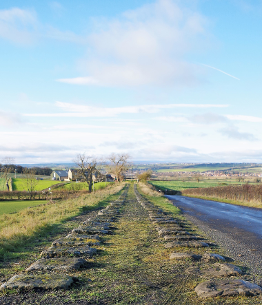 Image of Brusselton Incline landscape with track