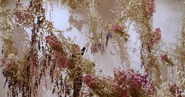 A woman stands in the middle of the picture surrounded by dried flowers that are hanging from above view. It is against a white background. The flowers are in warm pinks and browns, and they are casting the shadows on the walls.